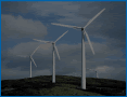 Wind Farms, and Investors