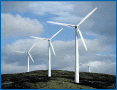 Wind Farms, and Investors